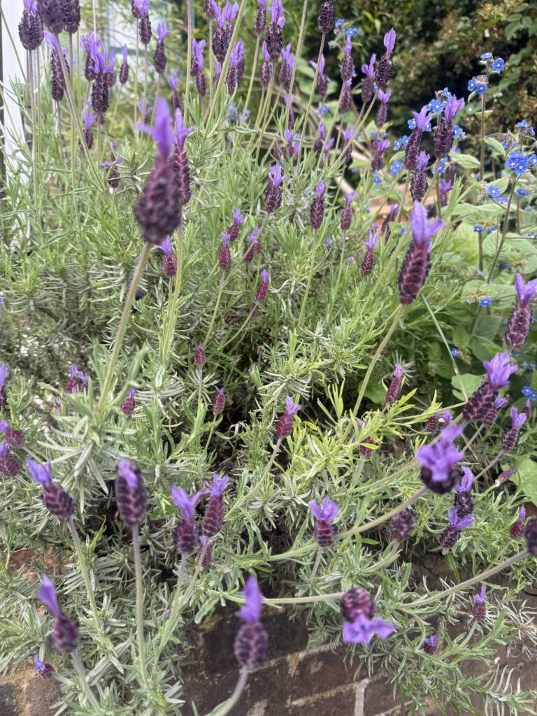 Tuesday, 2nd June 2026